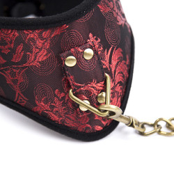 Generique Collier Laisse SCANDAL Rouge